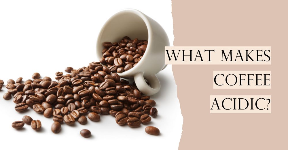 What makes coffee acidic?