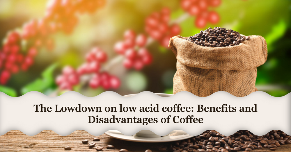 The Lowdown on Low Acid Coffee: Understanding the Benefits and Disadvantages